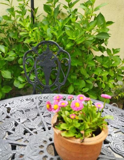 モリスのDanceGarden❣ノースライトで癒しの時を❣ - レンタルスペースDanceGarden