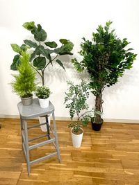 フェイクグリーン各種
 - BPstudio 撮影スタジオ・貸しスペースの室内の写真