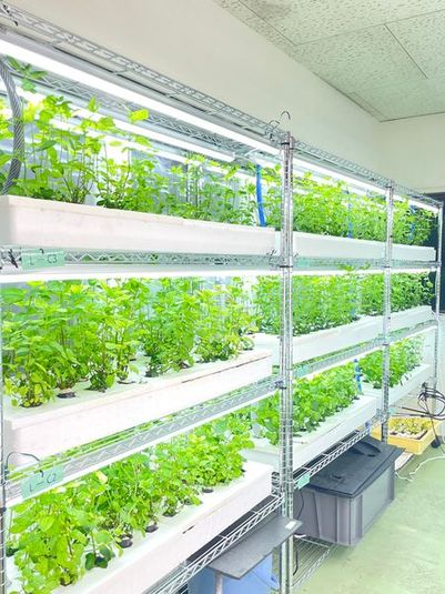 レンタルサロン - 清川レンタルサロン