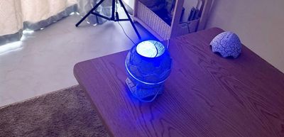 簡易的なプラネタリウムです。意外と綺麗なので一度お試しください。 - ルーミー町田 町田駅で人気のレンタルスペース【町田駅4分】おうちデート❤️の室内の写真