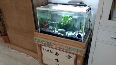 レンタルスペース夕顔瀬 Iプラン・全体貸し出し19時～23時・無料駐車場前面6台裏1台の室内の写真