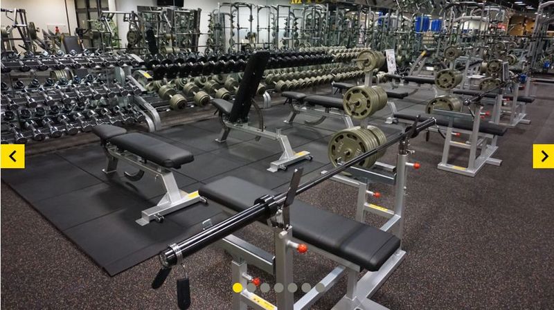 ゴールドジム【1日5時間施設体験】 - ゴールドジム西葛西東京