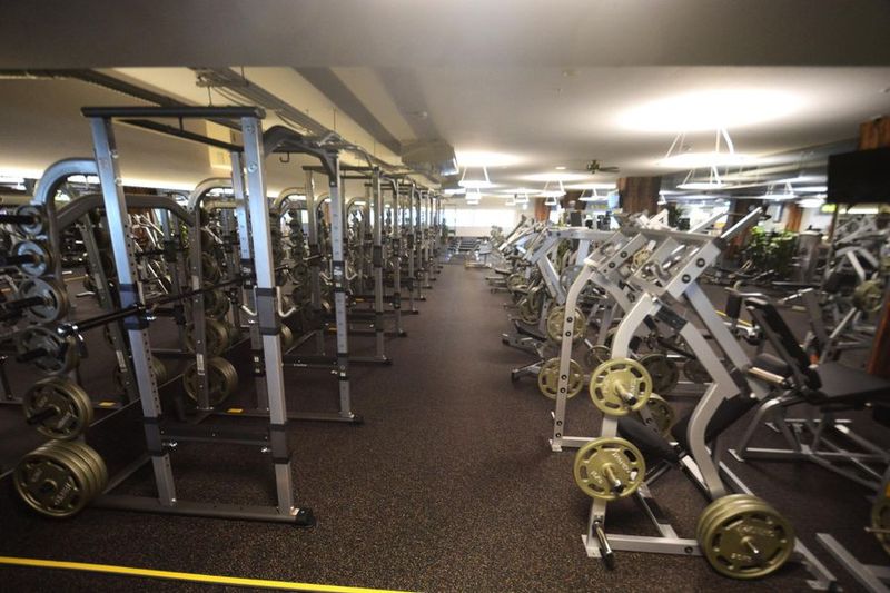 ゴールドジム千葉ニュータウンビジター利用1日5時間単発利用 - ゴールドジム千葉ニュータウン