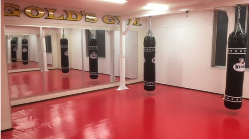 ゴールドジム【1日5時間施設体験】 - ゴールドジム曳舟東京