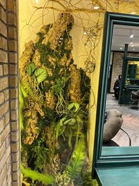 写真映え◎のグリーンディスプレイ - Monan 渋谷店 【新規】渋谷　美容室　レンタルサロン　シェアサロンの室内の写真