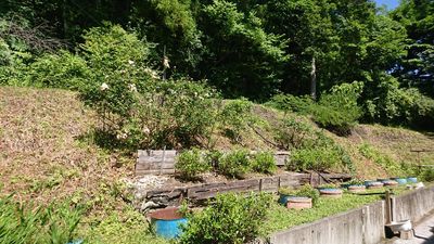 裏庭では季節によって野鳥のさえずりが聞こえてきます - MOYS GARDEN 山の上で眺望good！テラス・ロフト付アメリカンな隠れ家的一軒家の室内の写真