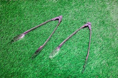 リノスぺcamp御徒町 【撮影・収録商用専用】撮影スタジオの室内の写真