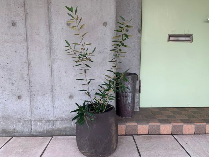 レンタルサロンTous les deux. - 整体サロンTous les deux.