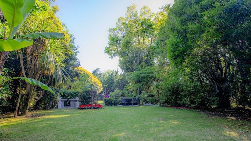 映像ジャパン千葉スタジオ - 映像ジャパン千葉スタジオ