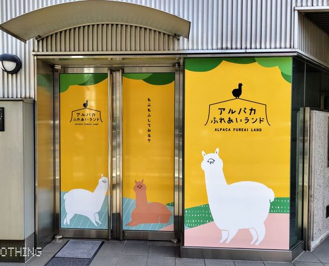 🦙アルパカカフェ🦙完全貸切｜神楽坂｜飯田橋｜最大20名OK！ - アルパカふれあいランド