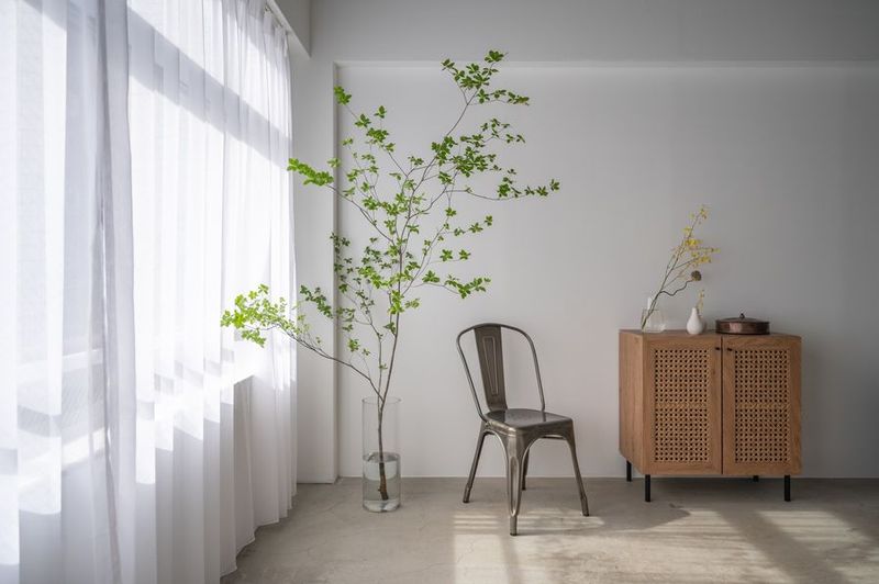 totoi photo studio - totoi photo studio