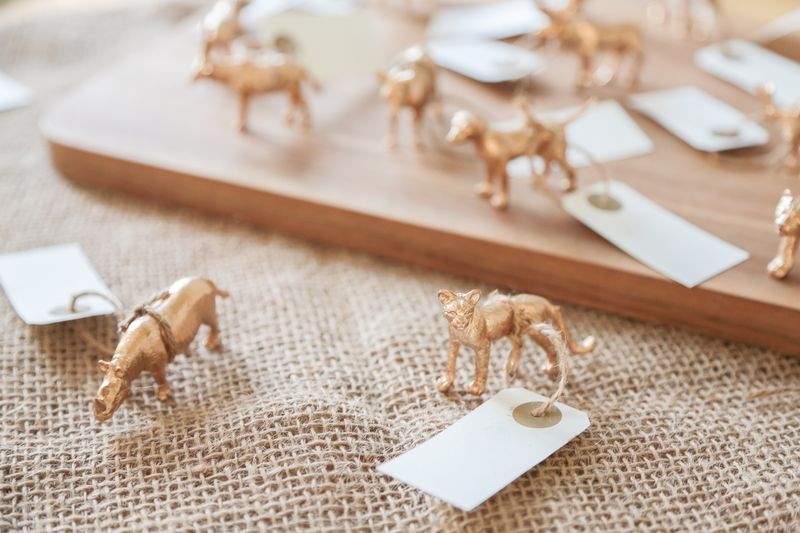 レンタルスタジオ(2F) - フォトスタジオエニッシュ