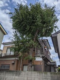 Grace Salon 平塚｜平塚レンタルサロン｜無料駐車場 扇大橋駅徒歩10分の更地の室内の写真
