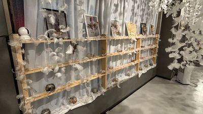 アトリエカシュカシュ撮影スタジオ 羽の非日常空間✨アトリエカシュカシュ　仙台の室内の写真