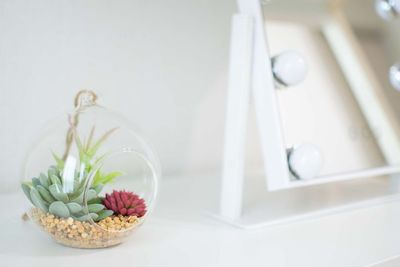 観葉植物 - レンタルサロンピエリス馬喰町の室内の写真