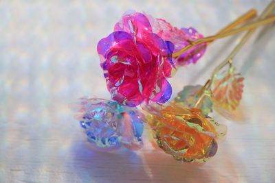 お洒落な小物類を揃えています。 - Wonder Hutte｜家族やグループで使いやすい撮影スタジオ 📸清潔で明るくどなたにも安心して使っていただける撮影空間ですの設備の写真