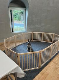 ワンちゃんと過ごす時はサークルをご利用下さい - 糸島ドームハウスの室内の写真