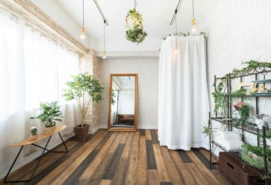 上野アメ横撮影スタジオStudio apps Broom　ボタニカル調の空間の室内の写真