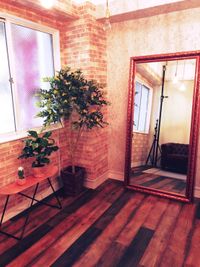 上野アメ横撮影スタジオStudio apps Broom　ボタニカル調の空間のその他の写真