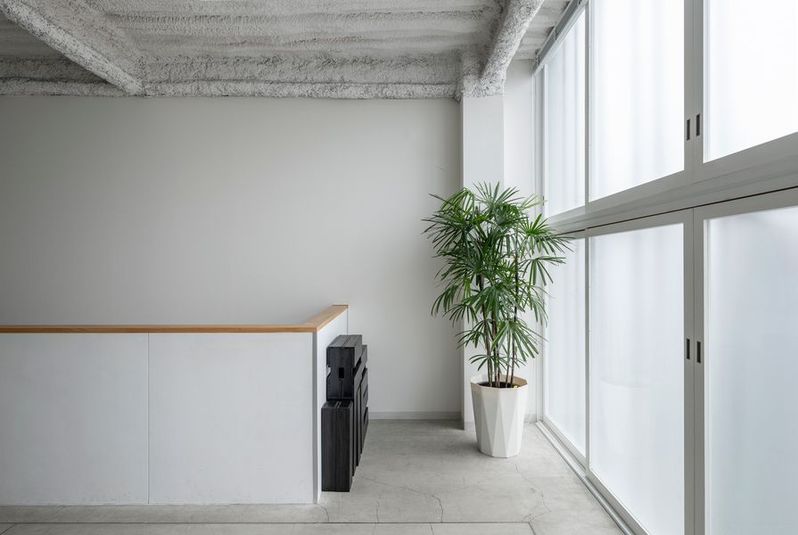 フォトスタジオ - North Light Studio