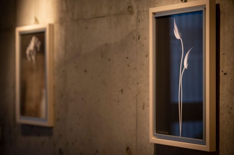 【高円寺駅１分】近隣美容室が運用するオシャレな貸切レンタルサロン - LIRA