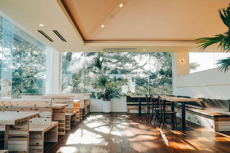 青島の海と大自然を見下ろす絶景のコミュニティラウンジ - AOSHIMA PICNIC CLUB