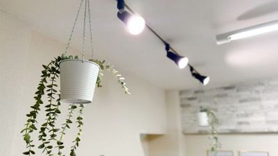 Blanc心斎橋 Blanc心斎橋【1〜12】の室内の写真