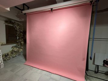 カーネーションピンク - studio owl アールデコお茶の水店｜撮影スタジオ お月さまと超大型ドライフラワー造形で撮影できるフォトスタジオの設備の写真