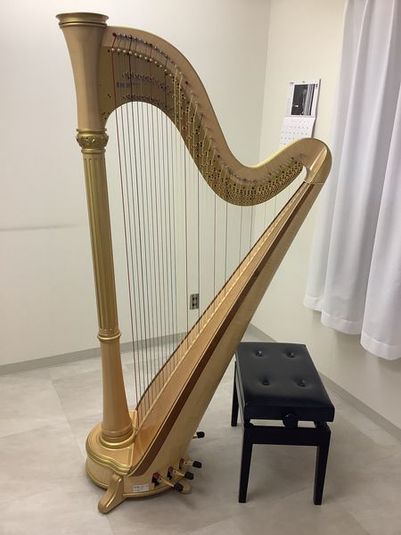 ハープのレンタル部屋【P1】 - 天神センター