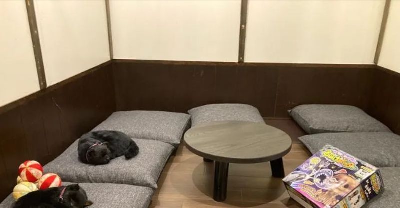 レンタルリビング ななかいのしょうめん（40名様まで） - NATULUCK関内セルテ