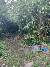 海岸線にはココから徒歩数分【夕日の小道】 - 糸島ドームハウスのその他の写真