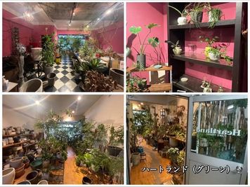 1階リース屋さん　（ハートランド）
※弊社で予約はとれません。ご自身で各店舗様へお問い合わせください - 【キュティア初台】 初台駅徒歩5分｜エレベーター有 ｜搬入ラクラク｜機材充実[52]のその他の写真