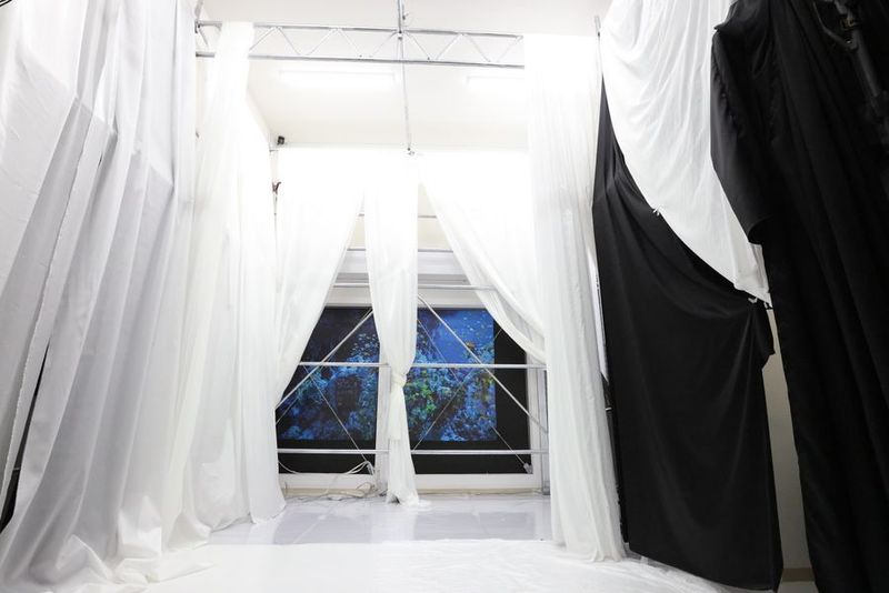 天井高４ｍ！一棟まるごと撮影スペース - ２４H空間撮影GREENHOUSE