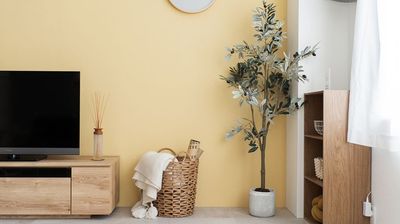 現在は黄色い壁紙は白い壁紙に変わっています。 - studio ideal 洋室と和室がひと続きの空間【スタジオF】の室内の写真