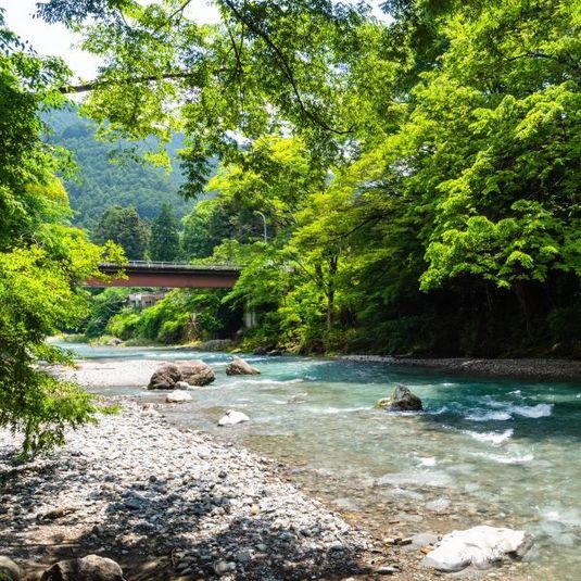 テレワーク＆レンタルスペース - 古民家的テレワークプレイスTERRA