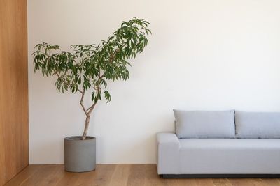 ソファ+フローリング
フローリングはご自由に敷いていただけます。 - Blend Living 【Blend Living】シンプルなデザインの自然光スタジオの室内の写真