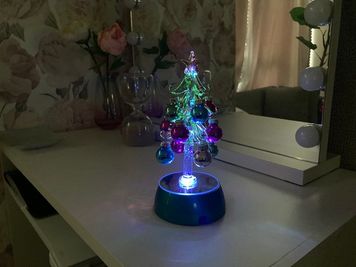 クリスマス装飾
 - 【完全個室🍃】新宿御苑のレンタルサロン「サラビアンカ」 新宿御苑側のインスタ映えする🌺個室型レンタルサロン🍃の室内の写真