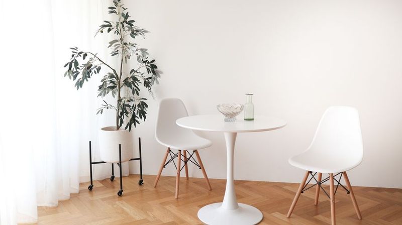 【趣味/記念撮影プラン】ソウスタジオ🪑🌿自然光撮影スタジオ - saut studio