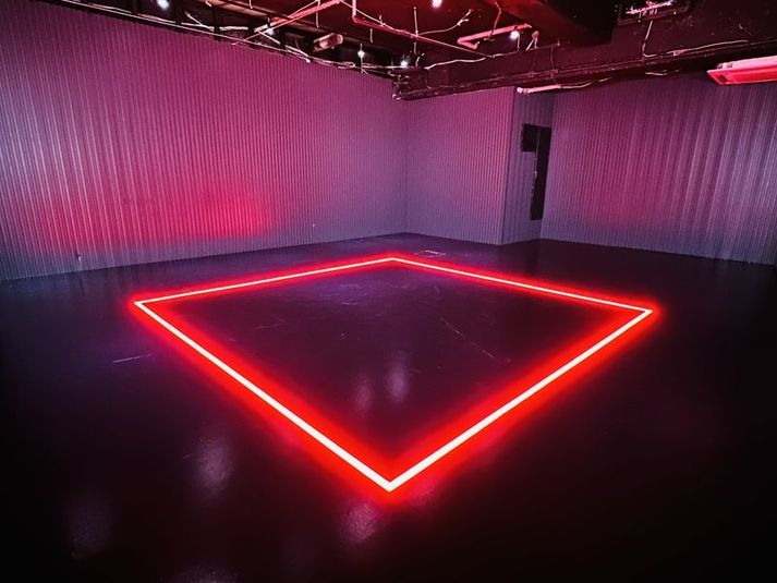 "Shack" - in the house / Hatagata