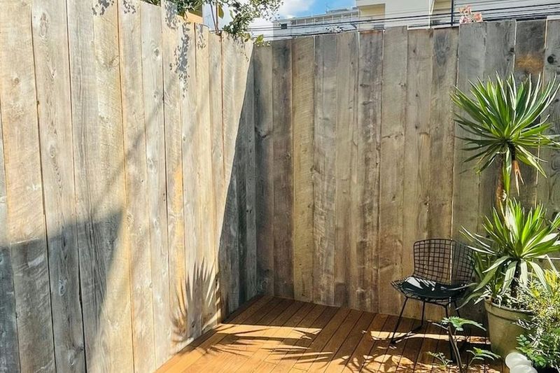 sight one - sight one