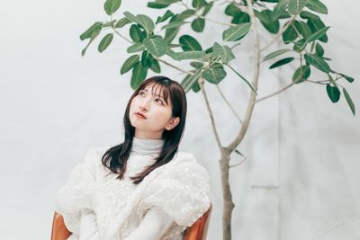 本物の木もございます。移動用のキャスターが付いているため、お好きな位置に移動してお使いください。 - ピクテスタジオ（PICTE STUDIO）浅草橋店 【浅草橋駅から徒歩１分】自然光と植物が映えるレンタル撮影スタジオの室内の写真