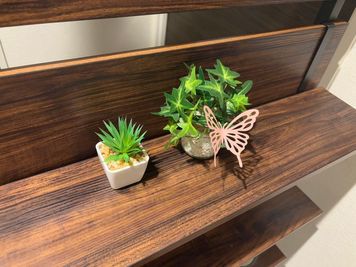 🌸桜の装飾🦋期間限定✨ - 女性専用　アメニティ東桜２F 【リバーリッチ】アメニティ東桜2F　女性専用の設備の写真