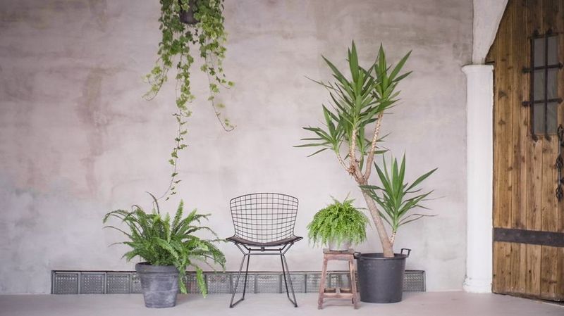 aid-studio - aid-studio