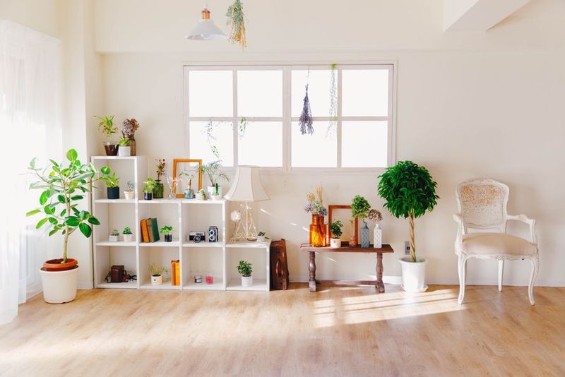 撮影・レンタルスペース - SOALA 新宿