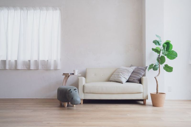 STUDIO VERDE スタジオ1 - STUDIO VERDE