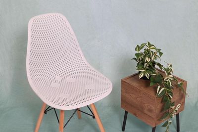 グリーン背景紙 - シーズスタジオ渋谷桜丘の室内の写真