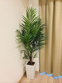 スペース内の植物は太陽光や電灯の光を触媒として化学反応を起こす物質である光触媒で加工された人工観葉植物です。空気清浄や消臭、抗菌などの効果があります。 - 道頓堀ビル（道頓堀ホテル） レンタルサロンの室内の写真