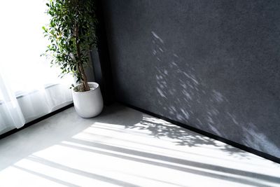 STUDIO QOQO STUDIO QOQO【スタジオ ココ】大阪あびこ店の室内の写真