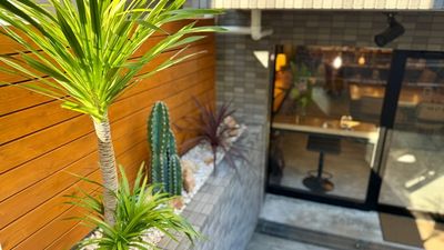 ドライガーデン
オーナーこだわりの南国植物がお迎えしております。 - 🌟NEWオープン🌟コワーキングスペースBuzz Work Buzz Work カフェラウンジの外観の写真