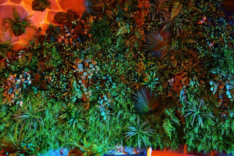 レンタルスペース - 代々木LIVE STUDIO LODGE